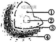 www.xiangpi.com
