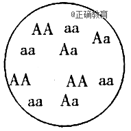 www.xiangpi.com