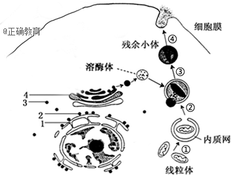 www.xiangpi.com