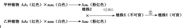 www.xiangpi.com