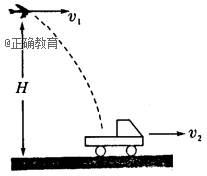 www.xiangpi.com