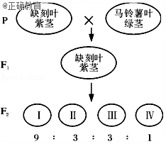 www.xiangpi.com
