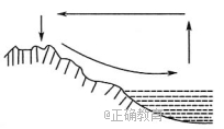 www.xiangpi.com