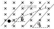 www.xiangpi.com