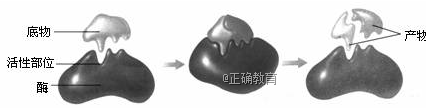 www.xiangpi.com
