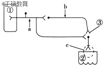 www.xiangpi.com