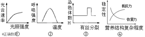 www.xiangpi.com