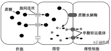 www.xiangpi.com