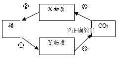 www.xiangpi.com