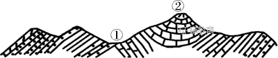 www.xiangpi.com