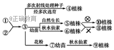 www.xiangpi.com