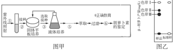 www.xiangpi.com
