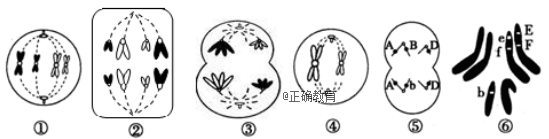 www.xiangpi.com