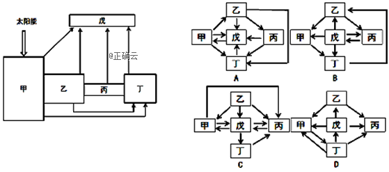 www.xiangpi.com