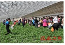 www.xiangpi.com