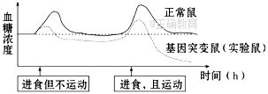 www.xiangpi.com