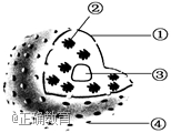 www.xiangpi.com