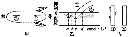 www.xiangpi.com