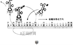 www.xiangpi.com