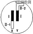 www.xiangpi.com