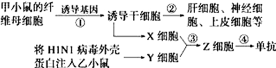 www.xiangpi.com