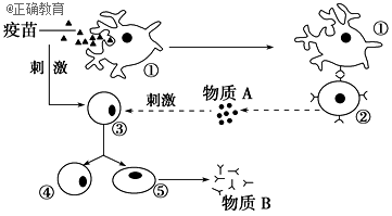 www.xiangpi.com