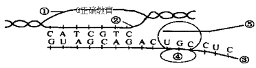 www.xiangpi.com