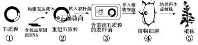 www.xiangpi.com