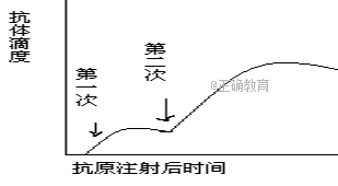 www.xiangpi.com