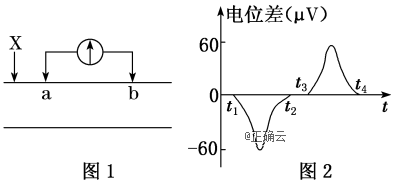 www.xiangpi.com