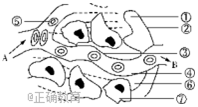 www.xiangpi.com