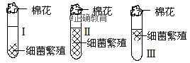 www.xiangpi.com