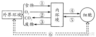 www.xiangpi.com