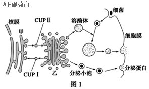 www.xiangpi.com