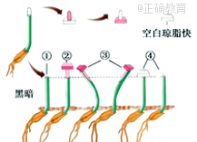 www.xiangpi.com