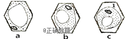 www.xiangpi.com