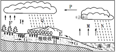 www.xiangpi.com