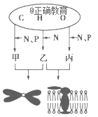 www.xiangpi.com