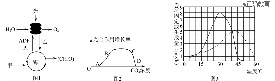 www.xiangpi.com