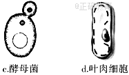 www.xiangpi.com