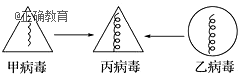 www.xiangpi.com