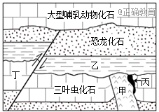 www.xiangpi.com