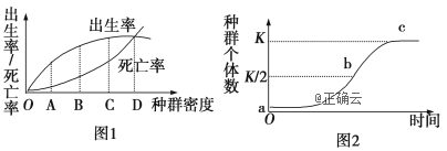 www.xiangpi.com