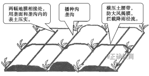 www.xiangpi.com