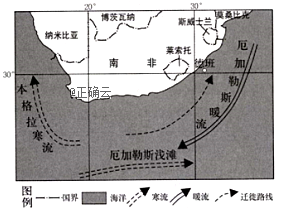 1.分析沙丁鱼主要集中在厄加勒斯浅滩的原因. 2.