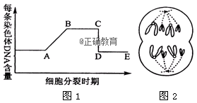 www.xiangpi.com