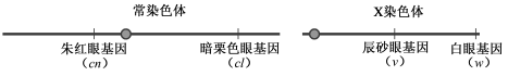 www.xiangpi.com