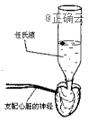www.xiangpi.com