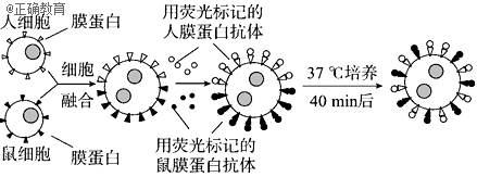 www.xiangpi.com