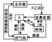 www.xiangpi.com